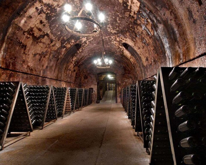 Picture 3 for Activity From Milan: Full Day in Franciacorta. 2 Wineries & Lunch