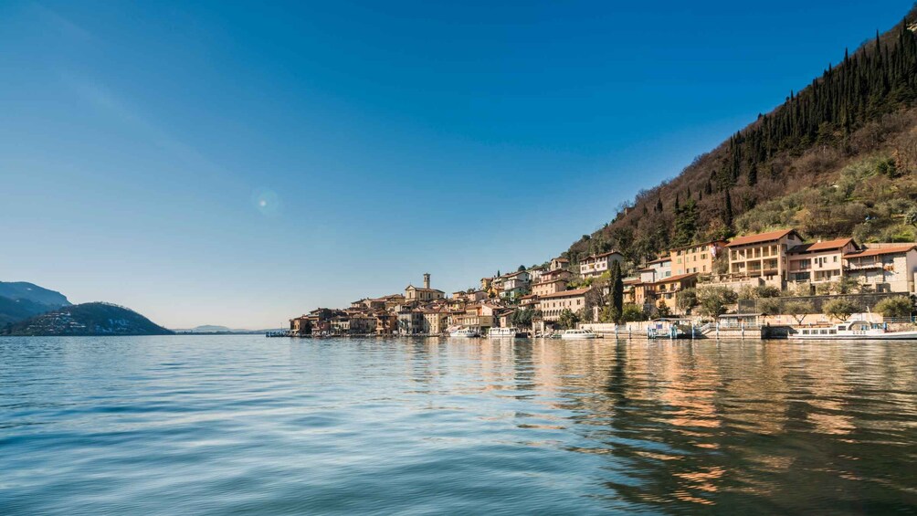 Picture 4 for Activity From Milan: Full Day in Franciacorta. 2 Wineries & Lunch