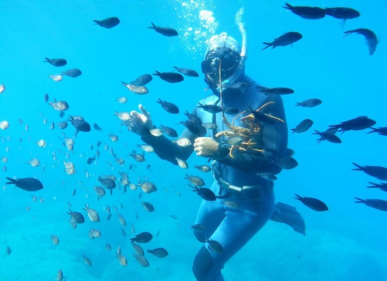 Picture 3 for Activity Rhodes Town: Yellow Submarine Cruise with Underwater Views
