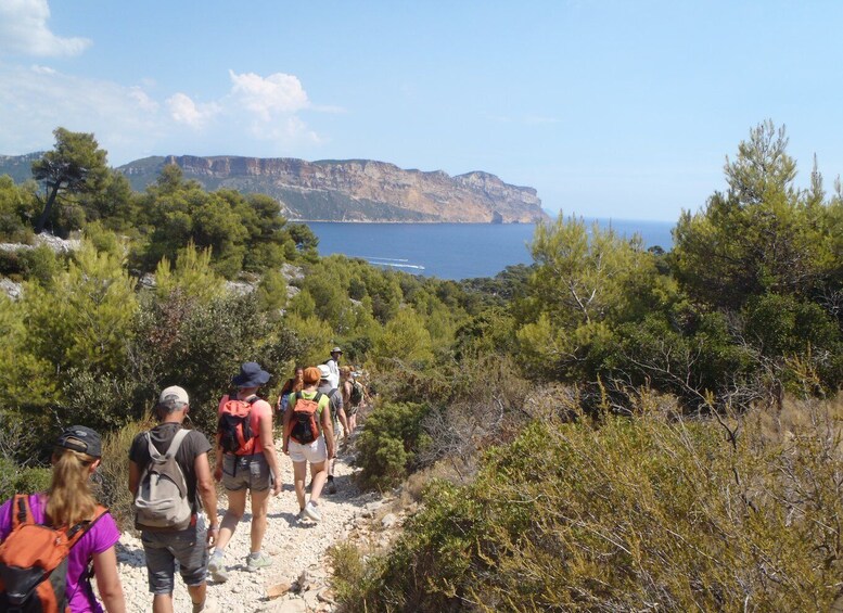 Picture 2 for Activity Cassis: Half-Day Calanques de Cassis Hike