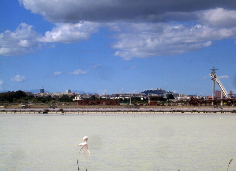 Picture 11 for Activity Cagliari Half-Day Private Sightseeing Tour