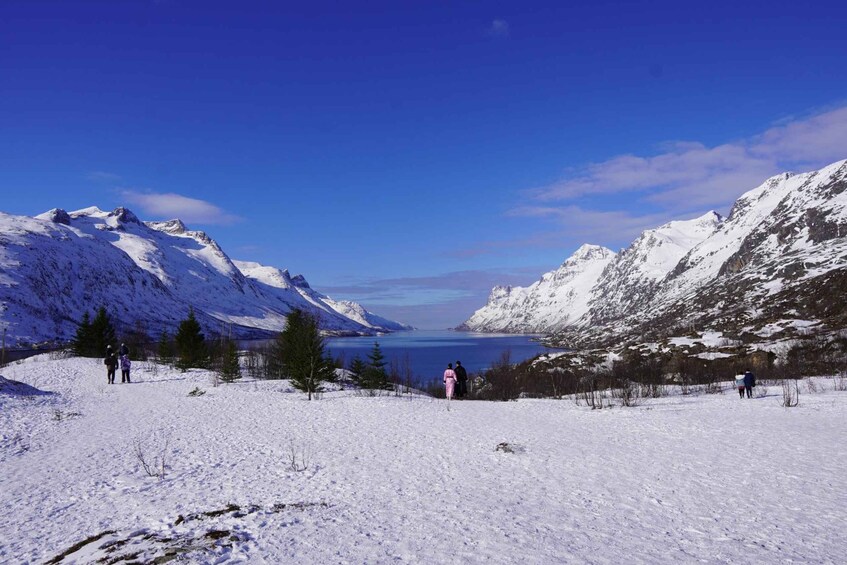 Picture 1 for Activity Tromsø: Exclusive Fjord Adventure by Bus