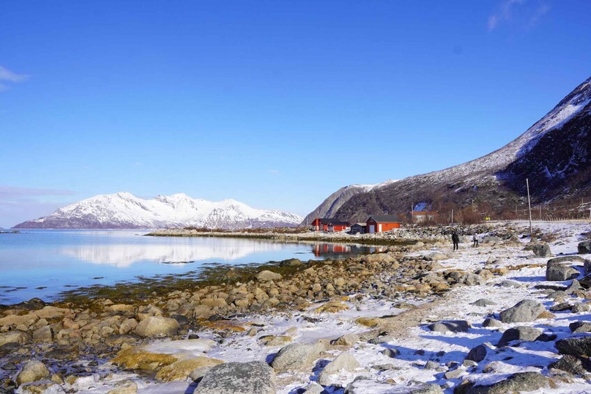 Picture 15 for Activity Tromsø: Exclusive Fjord Adventure by Bus