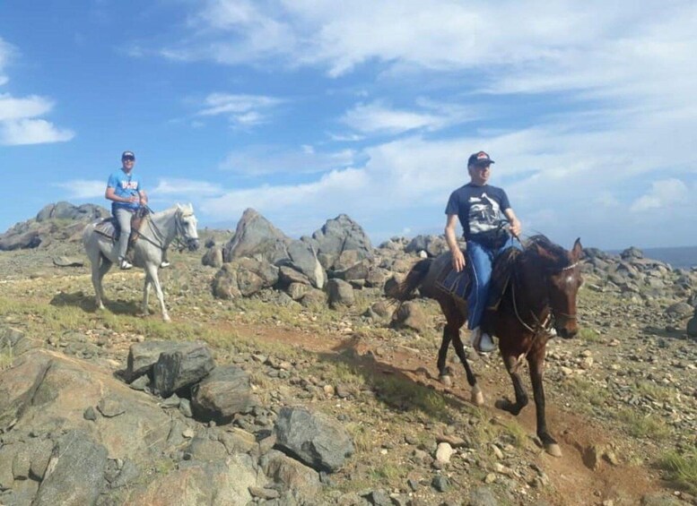 Picture 6 for Activity Aruba: 2-Hour advanced Horseback Riding Tour with Beach