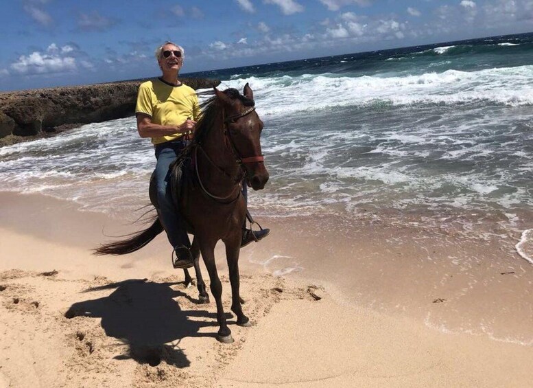 Picture 8 for Activity Aruba: 2-Hour advanced Horseback Riding Tour with Beach