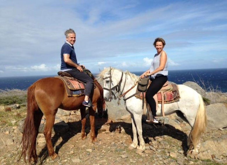 Picture 4 for Activity Aruba: 2-Hour advanced Horseback Riding Tour with Beach