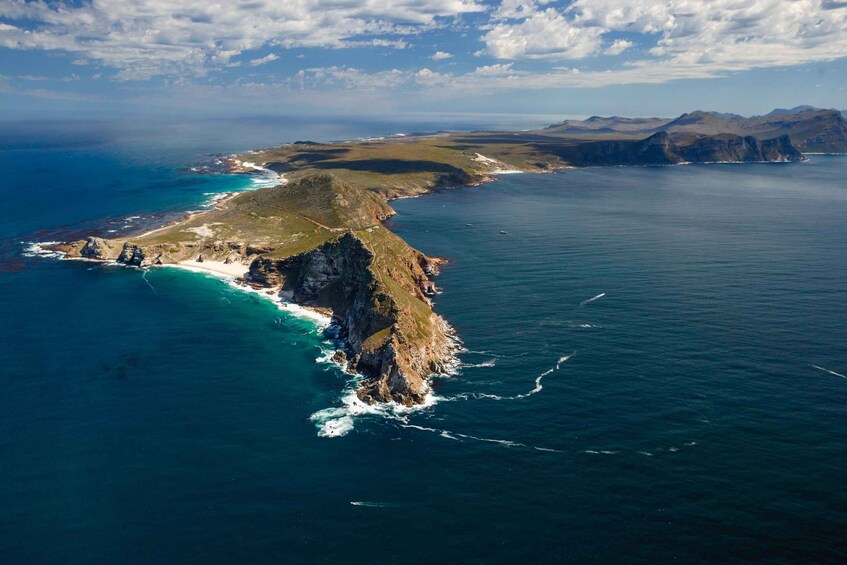 Picture 4 for Activity Cape Town: Shark Cage Dive