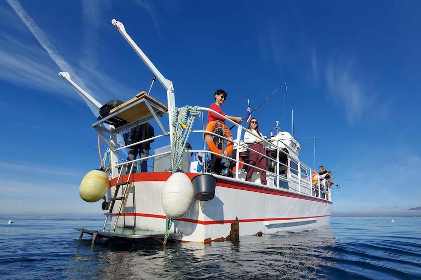 Picture 1 for Activity Reykjavik: 3-Hour Sea Angling Gourmet Experience Tour