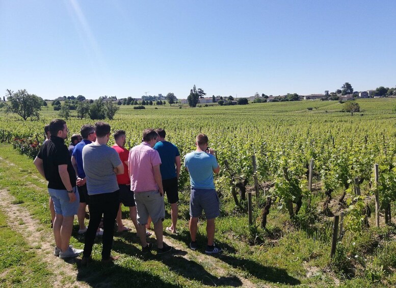 Picture 12 for Activity From Bordeaux: Saint-Emilion Guided Wine Tasting Tour