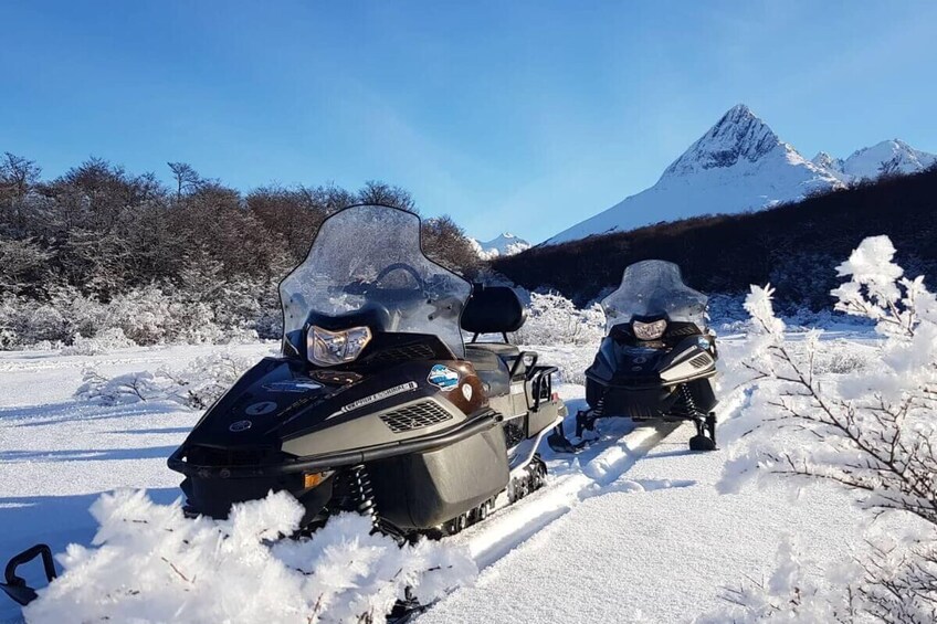 Ushuaia: Full day Snow: Sledding with Huskies Snowmobile 4x4
