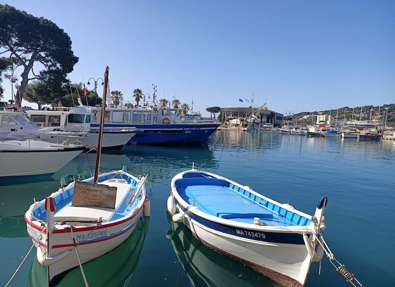 Picture 2 for Activity From Marseille: Cassis & Aix-en-Provence Half-day Tour