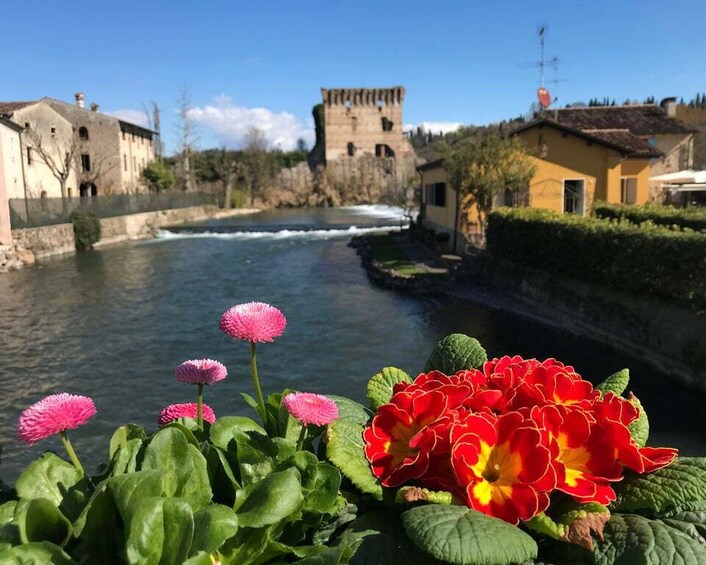 Picture 2 for Activity E-bike adventure among villages and medieval castles