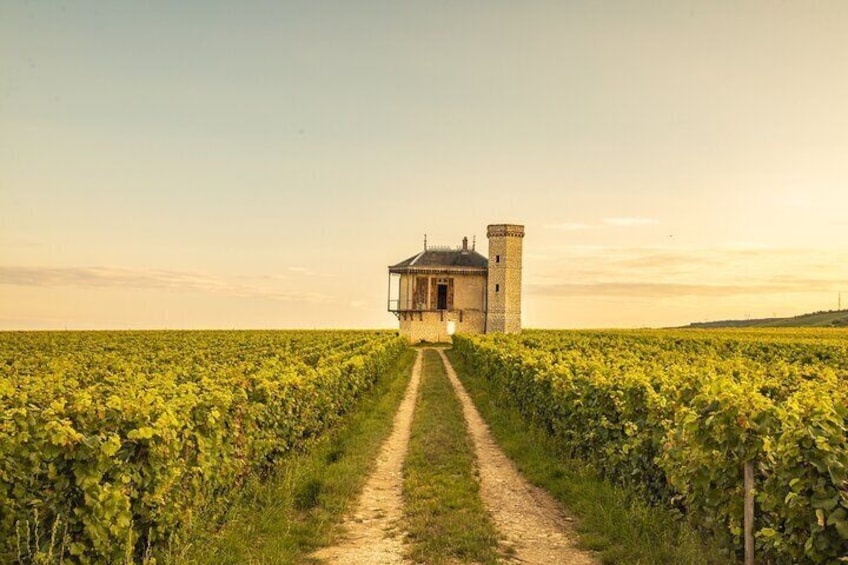 Private day tour to Côte de Nuits and Côte de Beaune