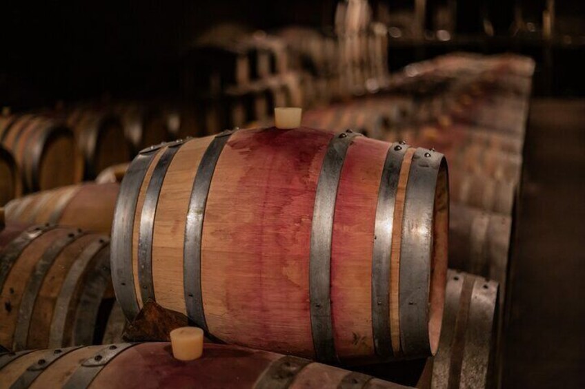 Private day tour to Côte de Nuits and Côte de Beaune
