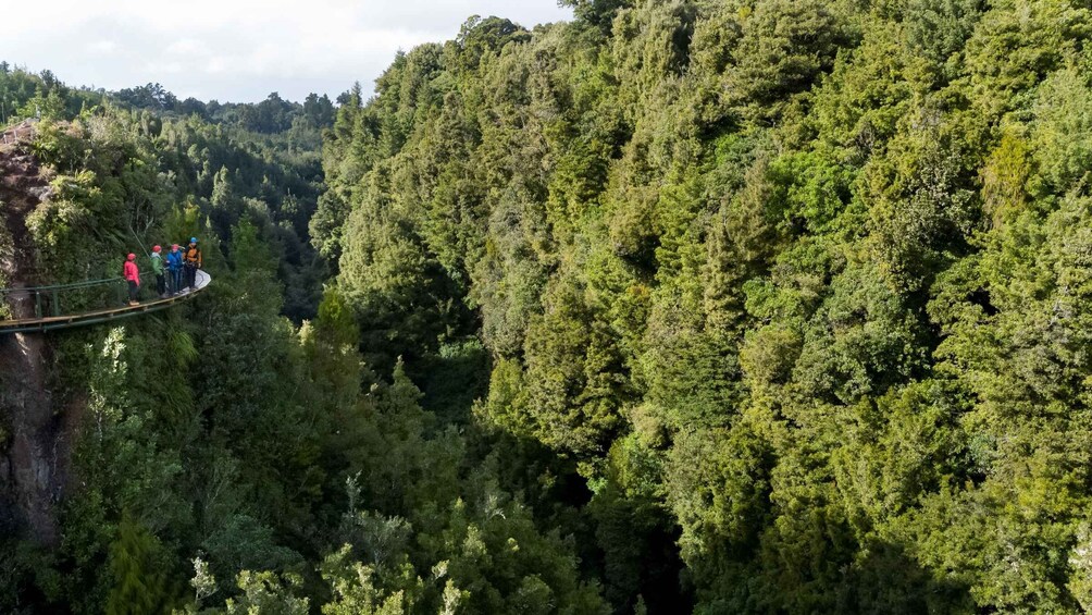 Picture 16 for Activity Rotorua: Ultimate Guided Zipline Tour w/ Volcanic Cliff Walk