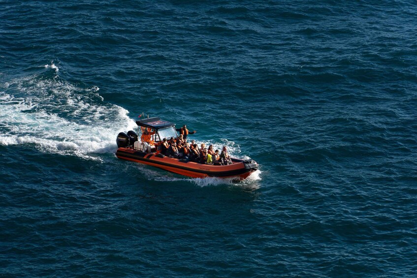 Picture 4 for Activity From Lagos: Benagil Caves Speedboat Adventure