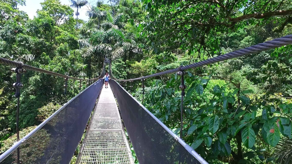 Picture 12 for Activity Arenal Hanging Bridges Half-Day Tour from La Fortuna