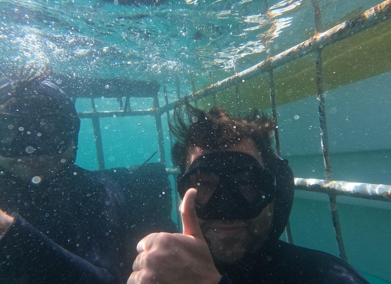 Picture 21 for Activity From Hermanus or Cape Town: Shark Cage Diving Experience