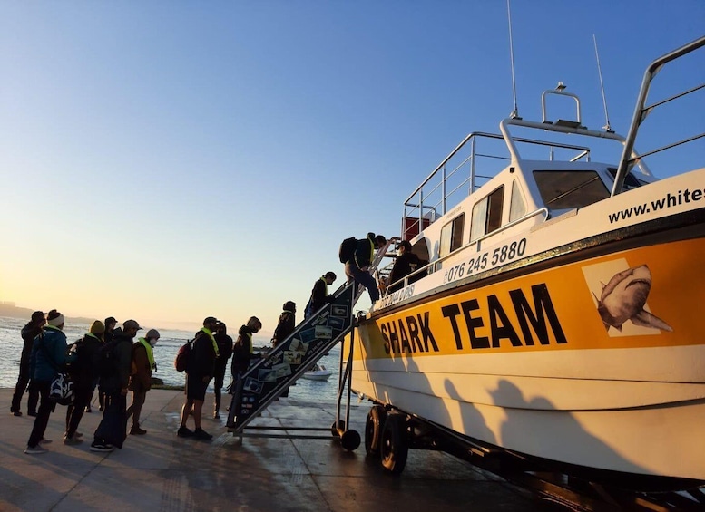 Picture 18 for Activity From Hermanus or Cape Town: Shark Cage Diving Experience