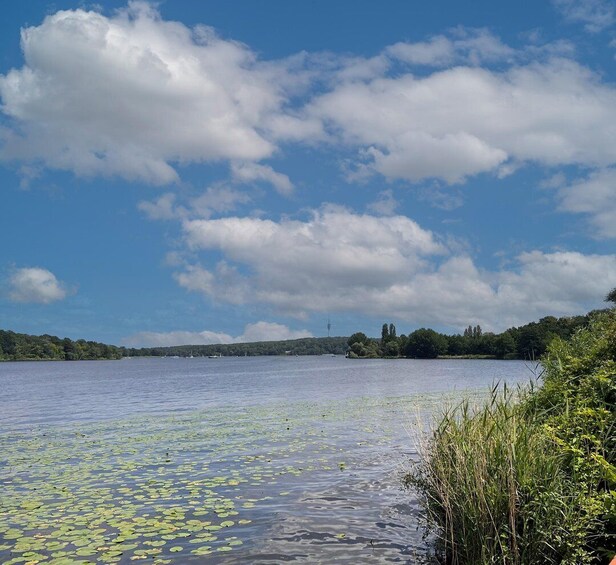 Picture 18 for Activity Berlin: Seven Lakes Tour from Berlin's Wannsee