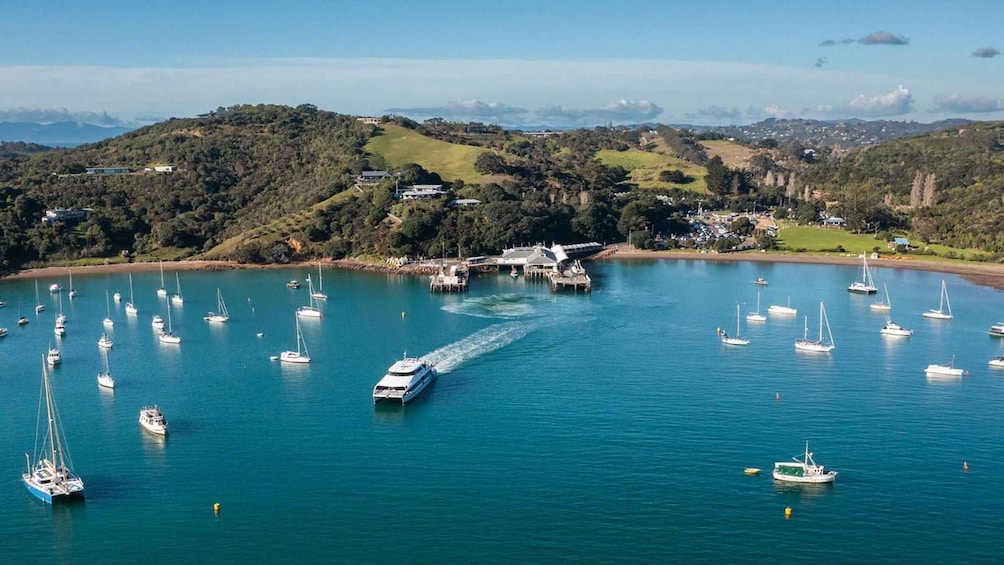 Auckland: Waiheke Island Fast Ferry Pass