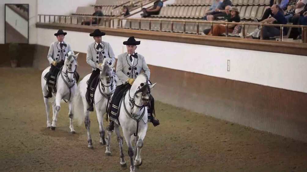 Picture 14 for Activity From Seville: Jerez, Cádiz and Andalusian Horses