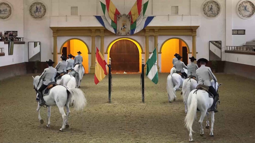 Picture 6 for Activity From Seville: Jerez, Cádiz and Andalusian Horses