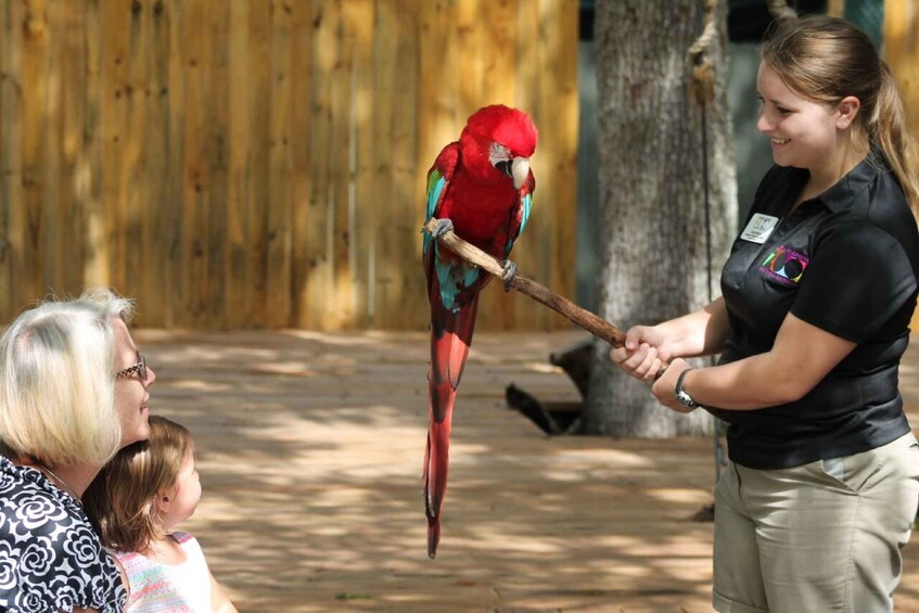 Picture 1 for Activity Orlando: Central Florida Zoo Skip-the-Line Ticket