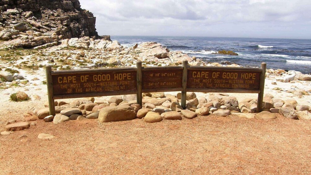 Picture 9 for Activity Peninsula Tour: Full Day Cape Point and Penguin Beach