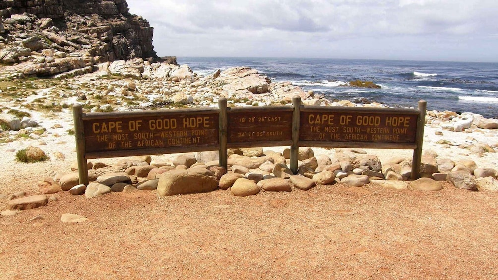 Picture 9 for Activity Peninsula Tour: Full Day Cape Point and Penguin Beach