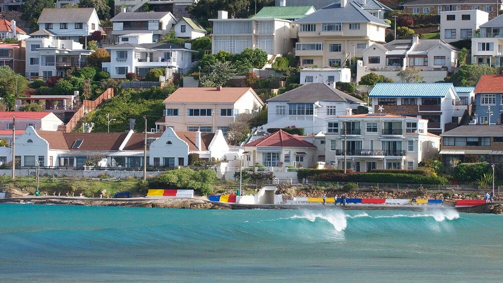 Picture 7 for Activity Peninsula Tour: Full Day Cape Point and Penguin Beach