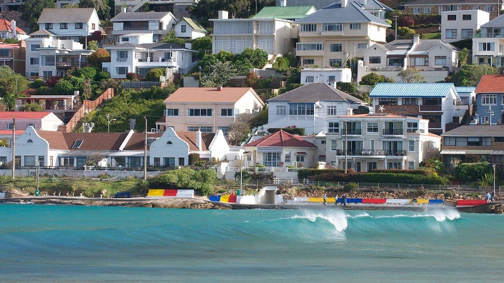 Picture 7 for Activity Peninsula Tour: Full Day Cape Point and Penguin Beach