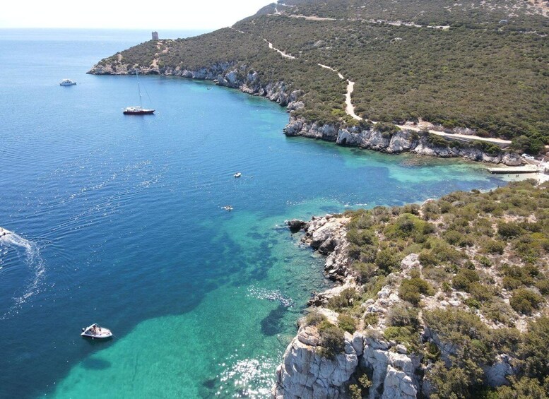 Picture 15 for Activity From Alghero: private day boat trip to Porto Conte Park