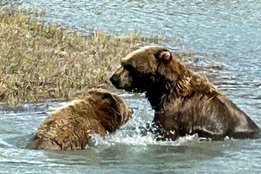 A little bit of play time in the water