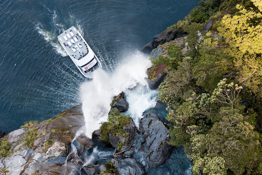 Milford Sound Coach & Nature Cruise ex Queenstown with Lunch