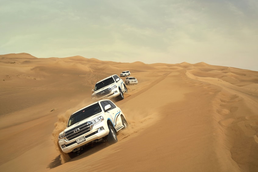 Private Royal Safari with dinner in Al Sahara Desert Resort