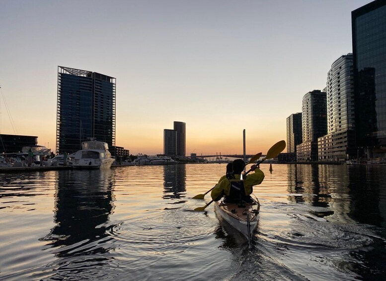 Picture 6 for Activity Melbourne: Sunset Kayak Tour with Dinner