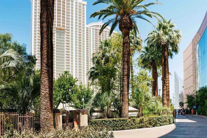 Picture 7 for Activity Las Vegas Strip: 3-Stop Pool Party Crawl with Party Bus