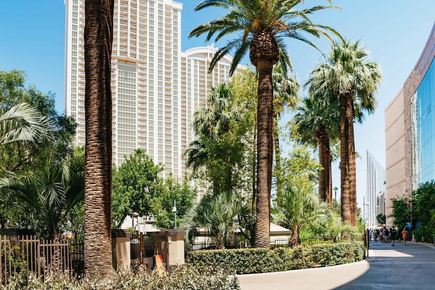 Picture 7 for Activity Las Vegas Strip: 3-Stop Pool Party Crawl with Party Bus