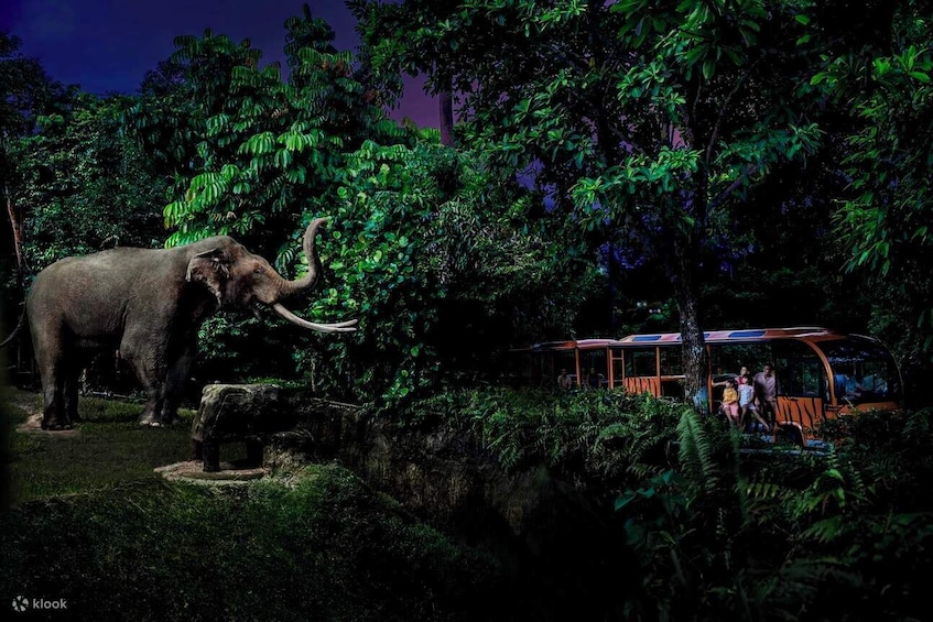 Night Safari Singapore