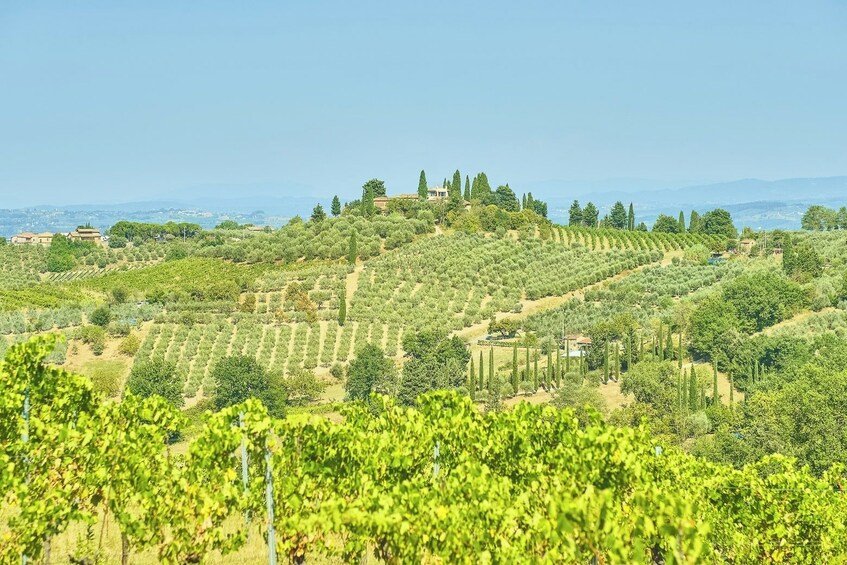 Day tour from Florence to Pisa, Siena and San Gimignano