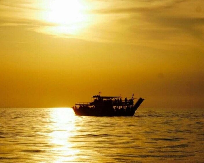 Picture 5 for Activity From Poreč: Evening Dolphin Cruise with Welcome Drink