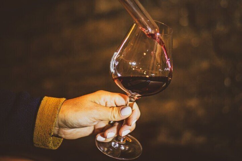 Full-Day Private Wine Tour in Côte de Nuits