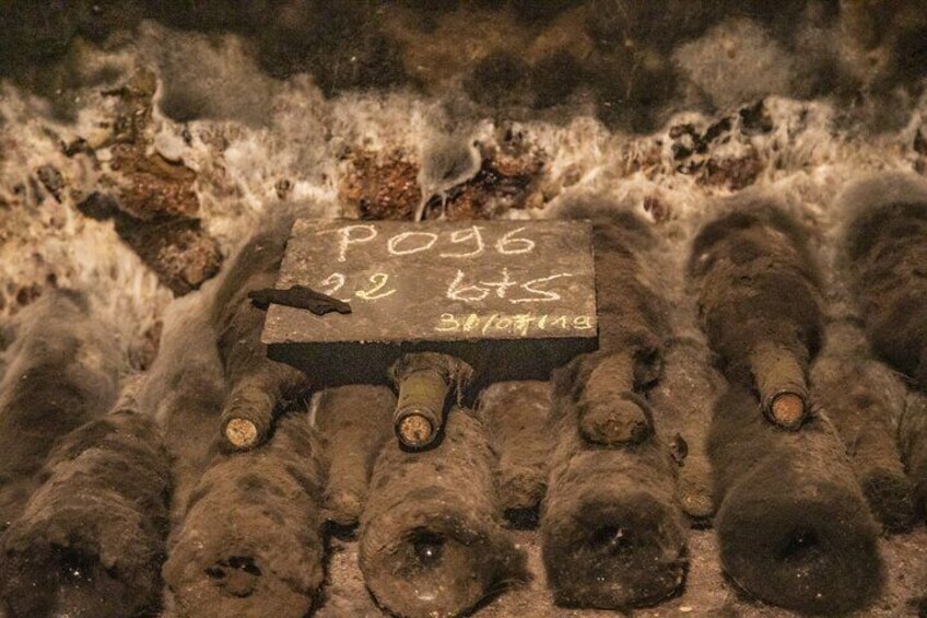 Full-Day Private Wine Tour in Côte de Nuits