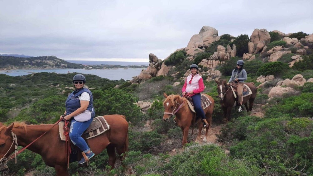 Picture 4 for Activity From Palau: minibus tour and horseback ride in La Maddalena