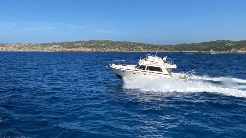 Picture 2 for Activity Santa Teresa: Speedboat Tour of the La Maddalena Archipelago
