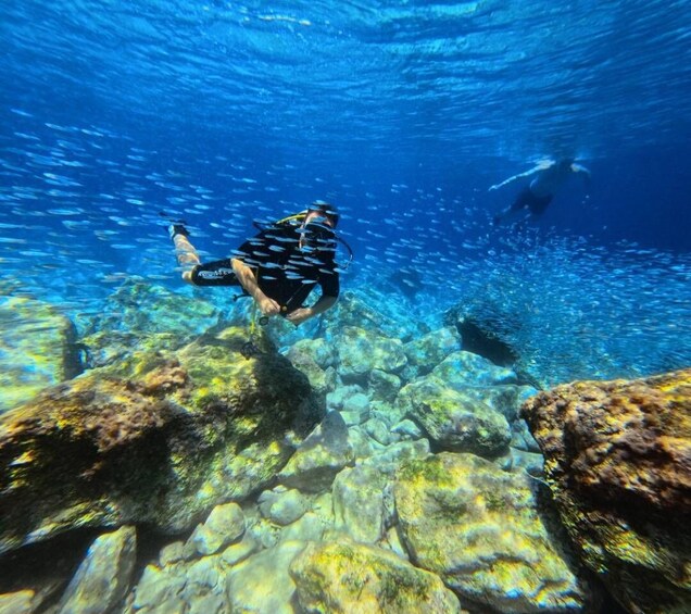 Picture 4 for Activity Chania | Try Scuba Diving | Private Introduction Dive