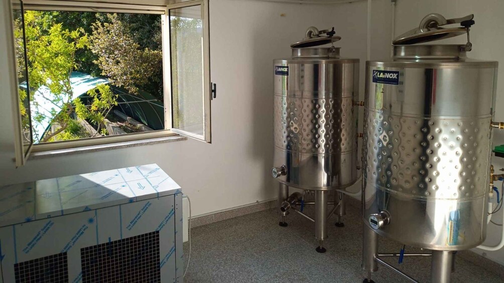 Picture 9 for Activity Tempio Pausania: Visit a Distillates Workshop with Tasting