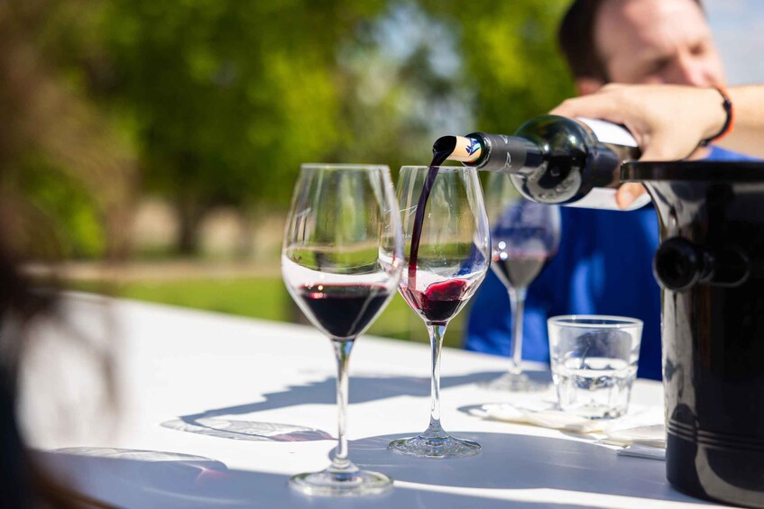 Picture 10 for Activity Medoc Afternoon Wine Tour, 2 Wineries, tastings & delicacies