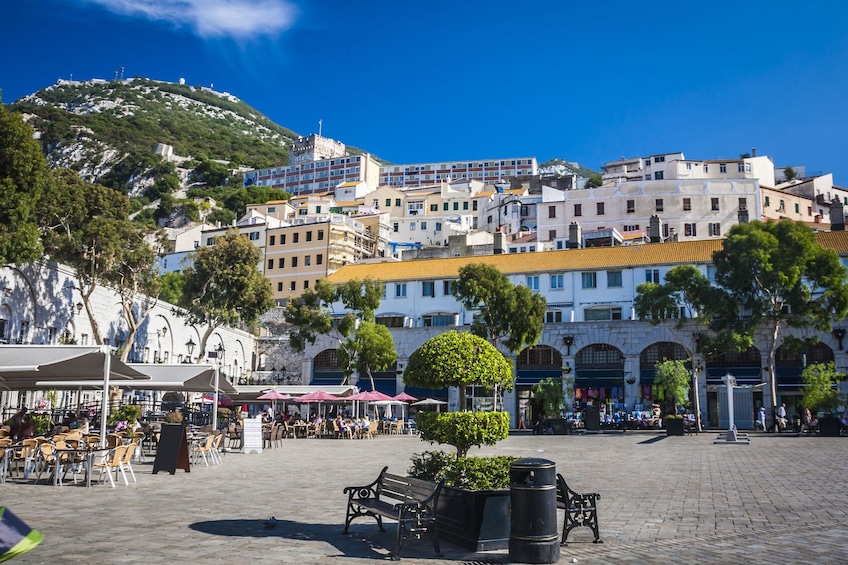 Gibraltar Dolphin-Watching Cruise - Full Day Tour